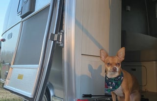 2021 Airstream Bambi 20FB