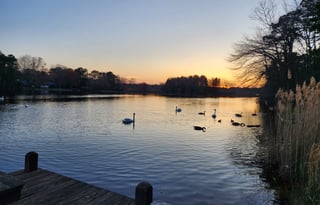 Cozy Cruiser or Lakeside Retreat