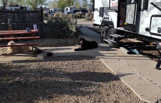 2021 Winnebago Micro Minnie Getaway Trailer