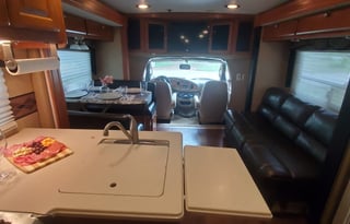 2010 Forest River RV Lexington 295DS