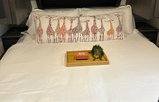 Jeff and Jen's Cougars Den II