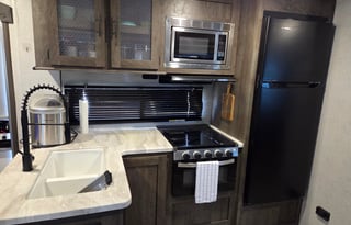 Forrest river wildwood 33ts