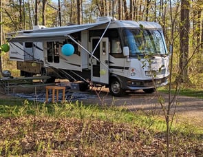 Damon Challenger 348