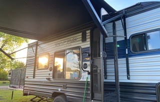 Shilhon Acres Wolf Pup