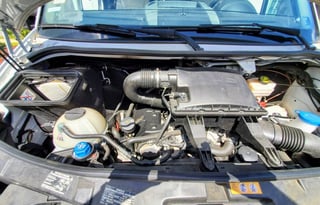 Fiona Chocolate - (good) dog friendly!