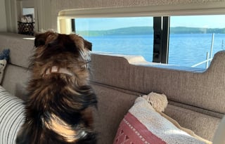 NEW Fully Contained Off-Grid Capable