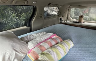 Stealth Toyota Sienna