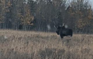 2018 Dutchmen RV Aspen Trail 3010BHDS