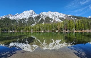 4WD All-Season "Judy" UNLIMITED MILES + Starlink