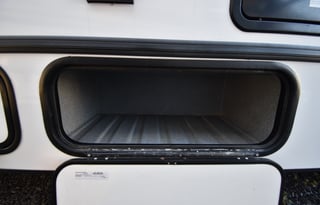 Fun in the Forester - 2024 Forest River Forester