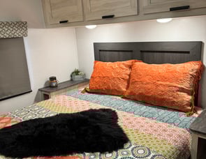 Forest River RV Sunseeker LE 3250DSLE Ford