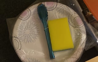 Roxy's Pet Friendly Camper Rental