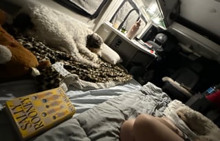 Your Dazzle Adventure Awaits - Thor Dazzle Camper