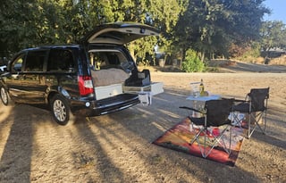 2013 Chrysler Chrysler Town Country