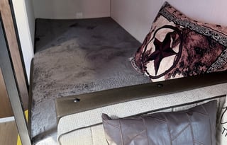 Say "Hello" to Evie!