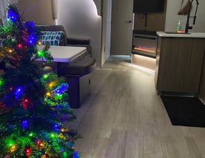 Forest River RV Salem 29VBUD