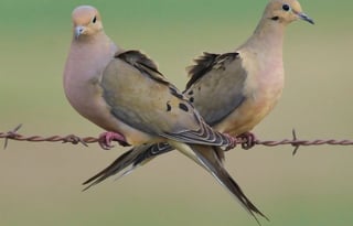 RV Camper On Site Hunting Rental!