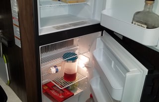 2019 Forrest river Wolf pup