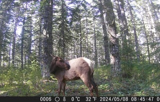 "Bunny," is a 2020 Thor Motor Coach, SUPER CLEAN!!