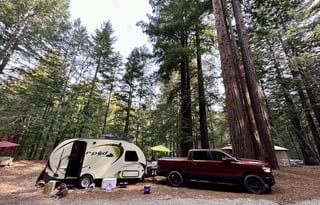 little Gem of the North