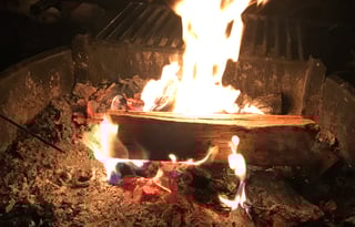 Florida dreamhouse on wheels w/ Bunkbeds! Sleeps 8