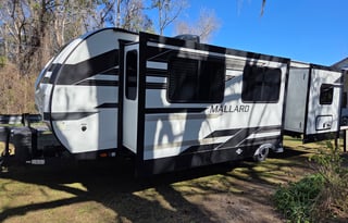 2023 Mallard at the Mill