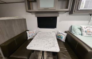 LittleGuyRV Kid& Pet Friendly 2022 Coleman Lantern