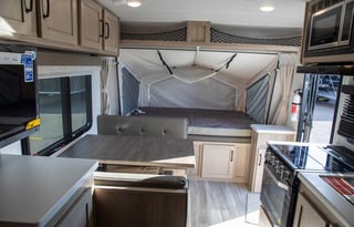 Flagstaff Shamrock Hybrid