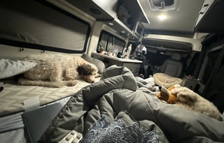 Your Dazzle Adventure Awaits - Thor Dazzle Camper