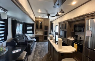 *DELIVERY ONLY* Sunny Sabre