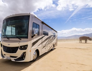 Fleetwood RV Fortis 33HB