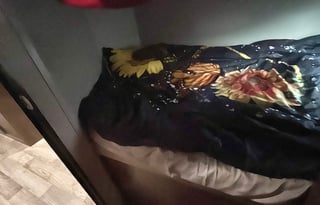 2019 Keystone RV Hideout 298BHDS