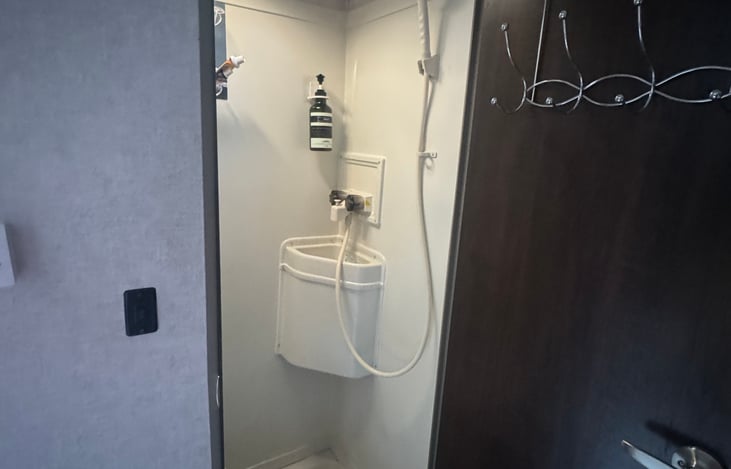 Bathroom sink and shower