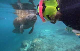 "GRACE" ROADTREK PIVOT - CLASS B OF THE YEAR!