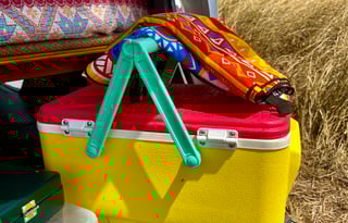 Ultimate Island Camper van -  with Darryl