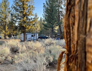 Forest River RV Rockwood GEO Pro 20BHS