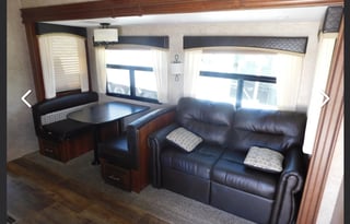 Fun and friendly family bird