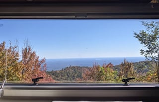 2024 Bookings- Goldie20