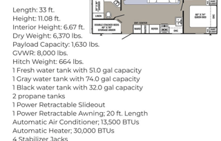 Family Friendly Palomino Puma