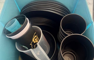 2024 Coleman Lantern