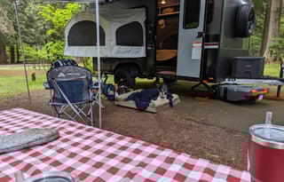 The Puddle Jumper! Pet Friendly Micro Toy Hauler! Bring your toys and dogs!