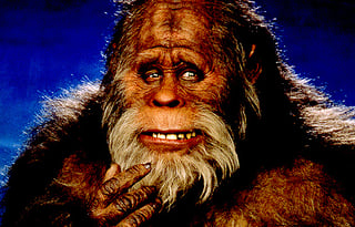 Winnebago Boondocking Bed and Breakfast