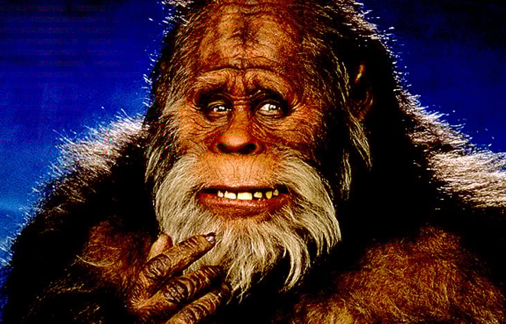 Do you have any snacks in there?