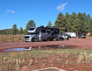 Forest River RV Sunseeker LE 3250DSLE Ford