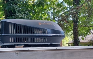 The Bear Necessities