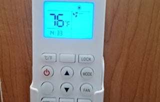 The Bear Necessities