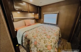 2019 Thor Motor Coach ACE 30.2