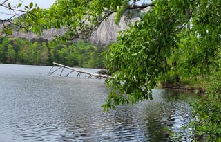 2020 like new Forest River RV Rockwood Mini Lite,