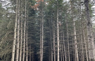 "Wilma". A 2023 EAST TO WEST Entrada 2900DS