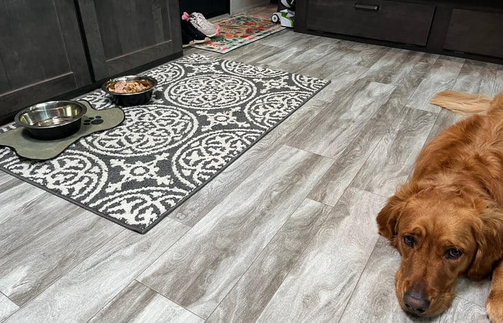 Well Behaved pets welcomed